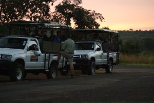 safaris,wild life safaris,st lusica accomadation