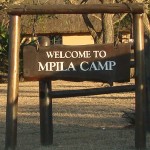 mpila camp mpila camp umfolozi game reserve