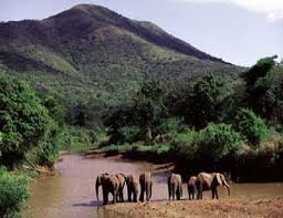 book accommodation hluhluwe