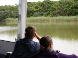 hippo cruise 2