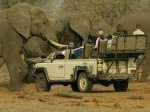 Book a Safari Direct & Save