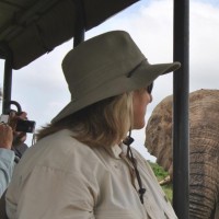Exclusive Safari Experiences